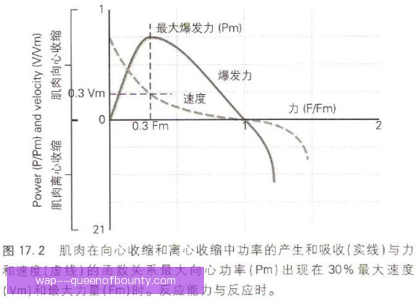 某速度型边锋力量增长路径，爆发力升级秘诀